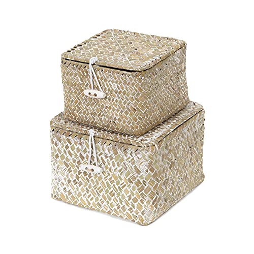 Compactor Set 2 cestas cuadradas con tapa, Modelo Trésor, Color blanco lavado, Tamaño, 15 x 15 x...
