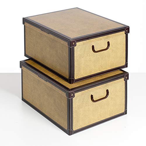 Kanguru SET DE DOS Cajas de almacenamiento en cartón, tamaño grande, 2 unidades, modelo TAPIR