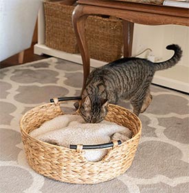 cesta de mimbre para gatos