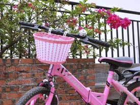 cesta rosa para bici infantil